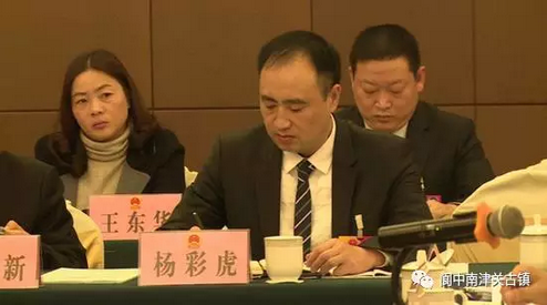 市人大代表,阆中华诚企业董事长杨彩虎建议 一,发展主导产业,结合